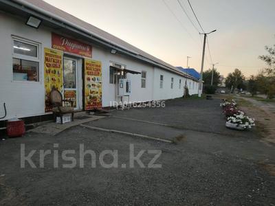 Отдельный дом · 10 комнат · 230 м² · 10 сот., Аксу Аюлы 35 — Жумабаева - Обаган за 170 млн ₸ в Астане, Алматы р-н