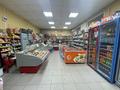 Магазины и бутики • 92.2 м² за 43 млн 〒 в Рудном — фото 16