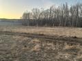Жер телімі · 12 сотық, Район Тау 77777, бағасы: 5 млн ₸ в Актобе — фото 4