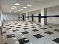Еркін · 1000 м², бағасы: 3.6 млн ₸ в Астане, Сарыарка р-н — фото 5