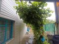 Саяжай · 4 бөлме · 61 м² · 8 сот., 3 линия 222, бағасы: 6.5 млн ₸ в Акши (Енбекшиказахском районе) — фото 7