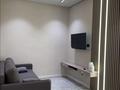 2-бөлмелі пәтер · 47.2 м² · 8/12 қабат, Торекулова 95, бағасы: 55 млн ₸ в Алматы, Алмалинский р-н — фото 12