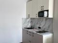 1-бөлмелі пәтер · 23 м² · 10/10 қабат, Сейфулина 416/2 — Макатаева, бағасы: 18 000 ₸ в Алматы, Алмалинский р-н — фото 15
