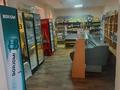 Магазины и бутики · 52 м² за 25 млн ₸ в Костанае — фото 7