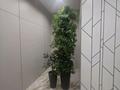 2-комнатная квартира · 47 м² · 20/20 этаж, Гагарина 310 за 51 млн ₸ в Алматы, Бостандыкский р-н — фото 4