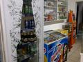 Магазины и бутики • 49.5 м² за ~ 20 млн 〒 в Павлодаре — фото 10