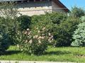 Отдельный дом · 7 комнат · 400 м² · 13.4 сот., Алатауская трасса. с. Бесагаш. ул. Танбалытас 10 — Район Аспан Сити (ул. Бухтарминская-Кульджинский тракт) за 210 млн ₸ — фото 19