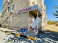 1-бөлмелі пәтер · 40 м² · 1/5 қабат, мкр Нижний Отырар 15/1, бағасы: 23.3 млн ₸ в Шымкенте, Туран р-н — фото 21