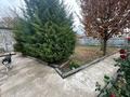 Отдельный дом · 3 комнаты · 65 м² · 10 сот., ​СТ Казмис 77 за 26 млн ₸ в ИЯФ — фото 3
