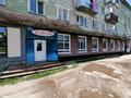 Свободное назначение · 270 м² за 70 млн ₸ в Шемонаихе — фото 2