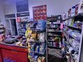 Готовый бизнес продуктовый магазин · 100 м² за 15.5 млн ₸ в Астане, Нура р-н — фото 10