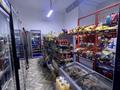 Готовый бизнес продуктовый магазин · 100 м² за 15.5 млн ₸ в Астане, Нура р-н — фото 3