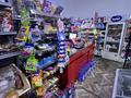 Готовый бизнес продуктовый магазин · 100 м² за 15.5 млн ₸ в Астане, Нура р-н — фото 7