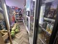 Готовый бизнес продуктовый магазин · 100 м² за 15.5 млн ₸ в Астане, Нура р-н — фото 9