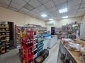 Еркін · 353 м², бағасы: 200 млн ₸ в Усть-Каменогорске, Ульбинский — фото 4