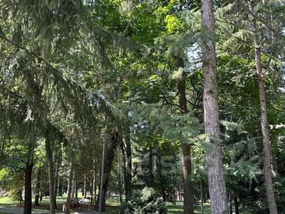 Жер телімі · 60 сотық, Достык — Оспанова, бағасы: ~ 1.5 млрд ₸ в Алматы, Медеуский р-н