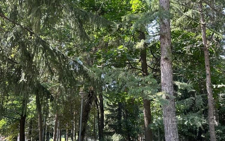 Жер телімі · 60 сотық, Достык — Оспанова, бағасы: ~ 1.5 млрд ₸ в Алматы, Медеуский р-н — фото 2