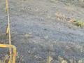 Жер телімі 10 сотық, Сарыағаш курорт Коктерек, бағасы: 4.5 млн 〒 в Сарыагаш — фото 4