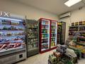 Магазины и бутики · 100 м² за 750 000 ₸ в Алматы, Алатауский р-н — фото 3