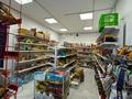 Магазины и бутики · 100 м² за 750 000 ₸ в Алматы, Алатауский р-н — фото 6