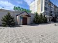 Общепит · 317.8 м² за 155 млн ₸ в Экибастузе — фото 2