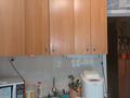 1-бөлмелі пәтер · 31 м² · 2/5 қабат, Мызы 31, бағасы: 11.8 млн ₸ в Усть-Каменогорске, Ульбинский — фото 7