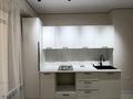 2-комнатная квартира · 46 м², мкр Нурсат 126 — Шымсити за 24 млн ₸ в Шымкенте, Каратауский р-н — фото 3