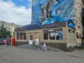 Еркін · 530 м², бағасы: 3.9 млн ₸ в Усть-Каменогорске, Ульбинский — фото 3
