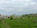 Жер телімі · 40 сотық, Каскасу, бағасы: 30 млн ₸ — фото 3