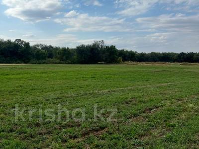 Жер телімі · 1 га, Жалкамыс, бағасы: 90 млн ₸ в Акмолинской обл.
