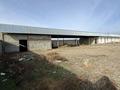 Свободное назначение · 1000 м² за 100 000 ₸ в Каракемер