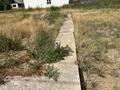 Участок · 6 соток, Бобровка 4201 — Леньковое озеро за 1.2 млн ₸ в Семее — фото 7