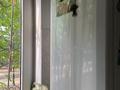 3-комнатная квартира · 61 м² · 1/5 этаж, мкр Тастак-1 7 — Толе би утеген батыра за 350 000 ₸ в Алматы, Ауэзовский р-н — фото 9
