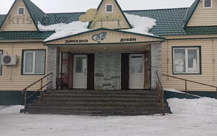 Еркін, кеңселер, дүкендер мен бутиктер, қоғамдық тамақтану орны · 240.5 м², бағасы: 47.3 млн ₸ в  — фото 4