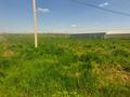 Сельское хозяйство • 550 м² за 80 млн 〒 в Шымкенте, Каратауский р-н — фото 12