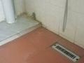 2-бөлмелі пәтер · 40 м² · 1/2 қабат, мкр Таугуль-3 16 — Ералиева16, бағасы: 130 000 ₸ в Алматы, Ауэзовский р-н — фото 4