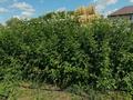 Жеке үй · 3 бөлме · 74.8 м² · 24 жүзд., Астана 34, бағасы: 25 млн ₸ в Актобе — фото 12