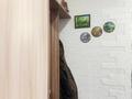 2-комнатная квартира · 44.1 м² · 3/5 этаж, ул. Абая — район Зорьки за 9 млн ₸ в Темиртау — фото 11