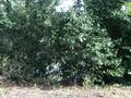 Дача · 2 комнаты · 40 м² · 9 сот., мкр 4, Коммунальник 337 — 2 дачная налево за 4.5 млн ₸ в Уральске — фото 19