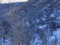 Участок · 10 га, Котырбулак за 250 млн ₸ в  — фото 5