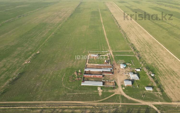 Сельское хозяйство • 1000 м² за 119 млн 〒 в Караой — фото 24