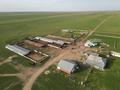 Ауыл шаруашылығы · 1000 м², бағасы: 119 млн 〒 в Караой — фото 8