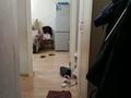 2-бөлмелі пәтер · 44 м² · 3/5 қабат, Радостовца — Карасай Батыра, бағасы: 35.6 млн ₸ в Алматы, Алмалинский р-н — фото 23
