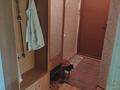 3-комнатная квартира · 54.5 м² · 4/4 этаж, мкр №12 4 за 31 млн ₸ в Алматы, Ауэзовский р-н — фото 6