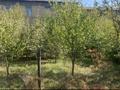 3-бөлмелі пәтер · 70 м² · 1/2 қабат, Момышулы — Вдоль улицы Момышулы, бағасы: 25 млн ₸ в Шымкенте, Туран р-н — фото 8