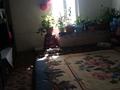 Отдельный дом • 4 комнаты • 70 м² • 9 сот., Хутырская 2а за 20 млн 〒 в Талдыкоргане — фото 11