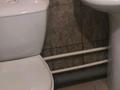 1-бөлмелі пәтер · 43 м² · 1/9 қабат, Кизатова — Жукова, бағасы: 120 000 ₸ в Петропавловске — фото 8