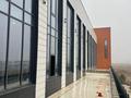 Свободное назначение · 247.5 м² за 1 млн ₸ в Астане, Есильский р-н — фото 8