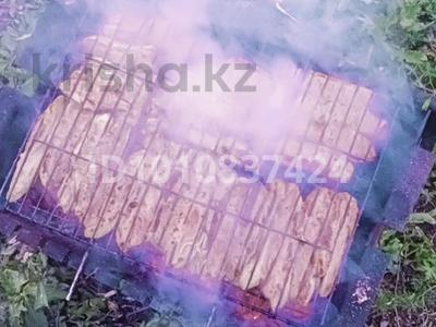 Саяжай · 2 бөлме · 30 м² · 6.6 сот., 6 16 — 3 массив, бағасы: 5.2 млн ₸ в Новой бухтарме