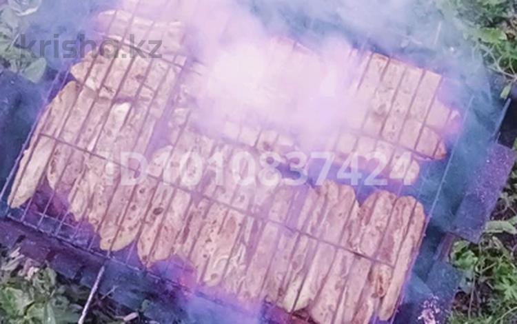 Саяжай · 2 бөлме · 30 м² · 6.6 сот., 6 16 — 3 массив, бағасы: 5.2 млн ₸ в Новой бухтарме — фото 2